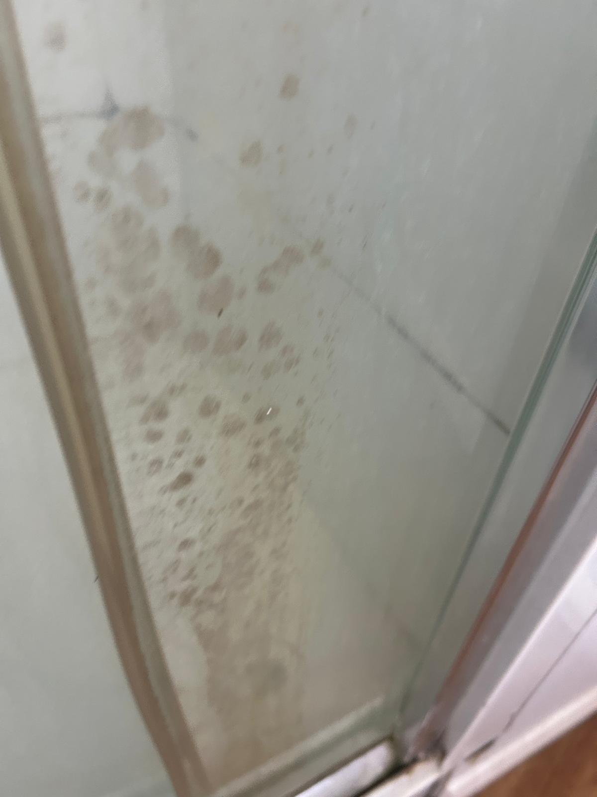 Deep clean to HMO (youth hostel)